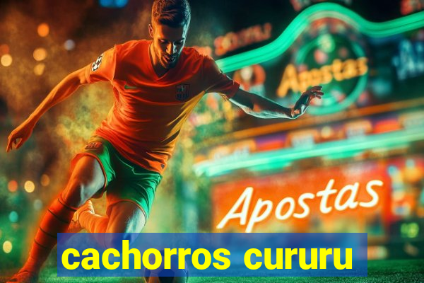 cachorros cururu